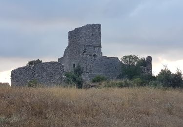 Percorso Marcia Aumelas - château d'Aumelas  - Photo