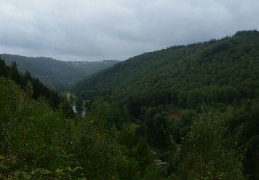 Trail Walking Bouillon - Corbion roche des eperviers - Photo