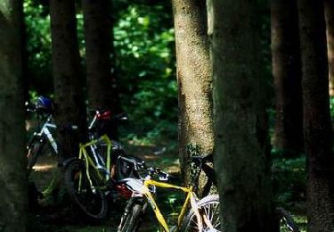 Trail Mountain bike Givonne - Espace VTT FFC Pays Sedanais Le Banet - Circuit n° 09 - Photo