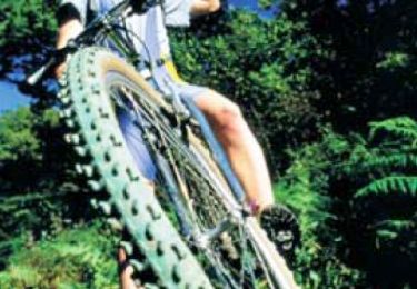 Trail Mountain bike Givonne - Espace VTT FFC Pays Sedanais Le Banet - Circuit n° 12 - Photo