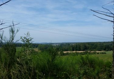 Tocht Stappen Meix-devant-Virton - Meix-dvt-Virton 14km 2018 - Photo