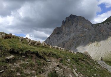 Tocht Stappen Val-d'Oronaye - Ma. du vallonet - Photo