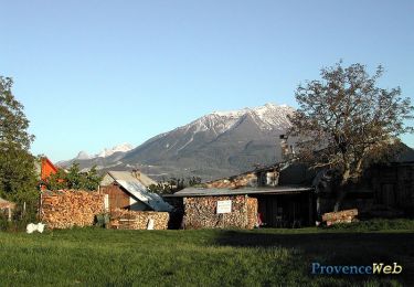 Tocht Mountainbike Enchastrayes - Espace VTT FFC Vallée de l'Ubaye - Circuit n° 16 - Super Sauze - Col des Alaris - Photo