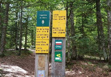 Tocht Andere activiteiten Vassieux-en-Vercors - Boucle du but St Genix - Photo