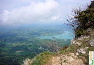 Tocht Stappen Attignat-Oncin - Le Mont Grelle 1425m, depuis Attignat - Oncin - Photo