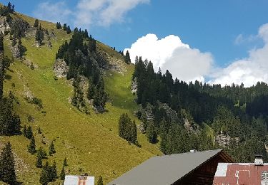 Percorso Marcia Samoëns - Lac de Gers  - Photo