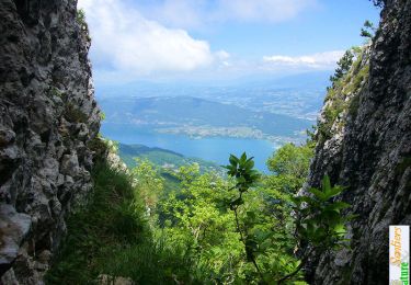 Tour Wandern Bourdeau - La Dent du Chat par la Grotte Parin et le Couloir Nord - Photo