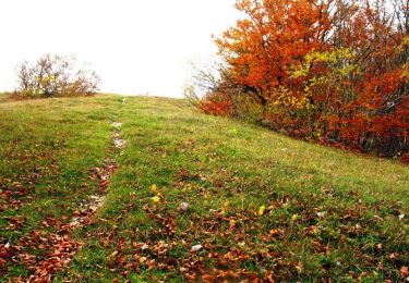 Tocht Mountainbike Haut Valromey - Le Plateau de Retord - Photo