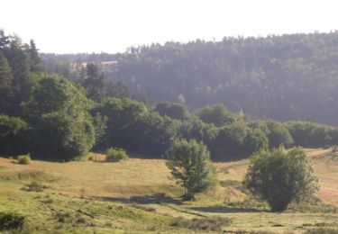 Excursión Bici de montaña Langogne - Espace VTT FFC du Gévaudan - n°02 - Circuit de Ste Germaine - Photo