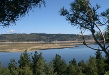 Excursión Bici de montaña Langogne - Espace VTT FFC du Gévaudan - n°03 - Circuit des Huttes - Photo