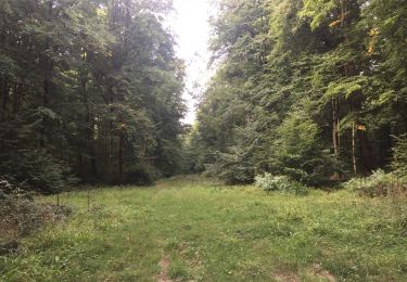 Trail Walking Longpont - en forêt de Retz_66_sur la Route Droite - Photo