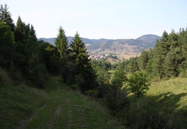 Tocht Mountainbike Comus - Pais de Sault Camurac bois de La Niave - Photo