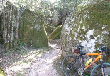 Percorso Mountainbike Fozzano - Raid VTT en Corse - Burgo à Quenza - Photo