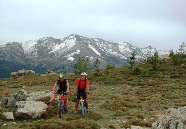 Trail Mountain bike Castirla - Raid VTT en Corse - Autour de Corte - Photo