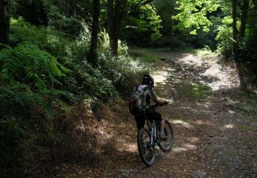 Trail Walking Aussillon - Mazamet - Fontbruno - Photo