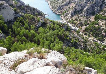 Trail Walking Marseille - Calanque de Sugiton - Photo