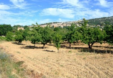 Randonnée Vélo Sault - Vaucluse - Sault - Saint Saturnin les Apt - Sault - Photo