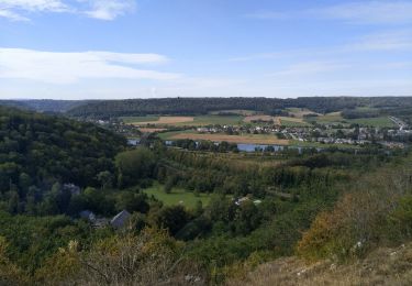 Randonnée Marche Yvoir - houx 10km - Photo