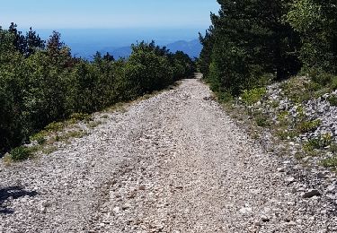 Percorso Marcia Beaumont-du-Ventoux - Circuit des Jas 1+ - Photo