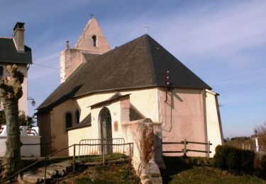 Excursión Senderismo Saint-Faust - Coteaux de St Faust de Bas - Photo