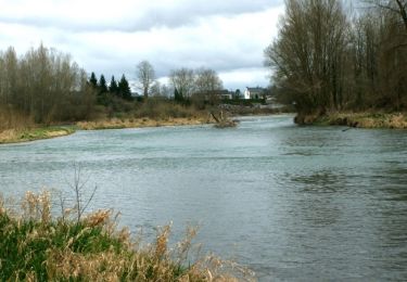 Tour Wandern Meillon - Gave d'Aressy à Assat - Photo