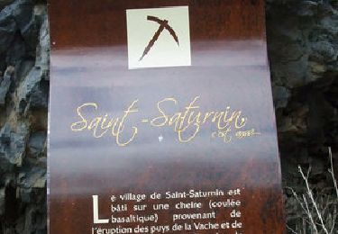 Excursión Senderismo Saint-Amant-Tallende - Le Puy de Peyronère - Photo