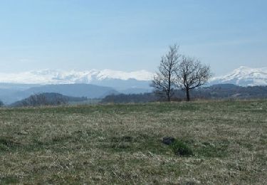 Trail Walking Montaigut-le-Blanc - Le tour de la Pinière - Photo