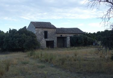 Randonnée Marche Orgon - Rando de la chapelle Saint-Sixte - Photo