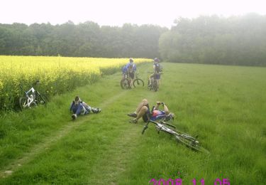 Trail Mountain bike Plaisir - Faut Pas Mollir 2009 - Plaisir - Photo