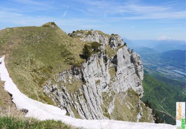 Trail Walking Saint-Pierre-de-Chartreuse - Le Dôme de Bellefont par le Pas de Rocheplane - Photo