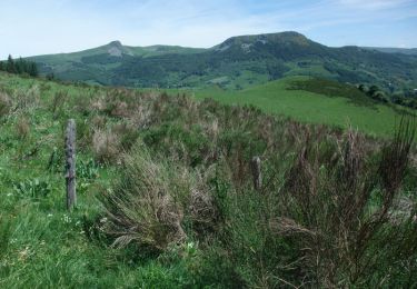 Tour Wandern La Bourboule - La Roche de Vendeix - Photo