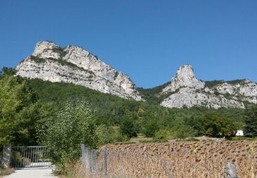 Tocht Stappen Saou - Roche colombe pas de lechelette - Photo