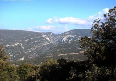 Tocht Stappen Saint-Saturnin-lès-Apt - St Saturnin les Apt - La Mère Dieu - Les ravins de Philipon et des Gendarmes - Planeyssard - Photo