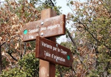 Trail Walking Saint-Saturnin-lès-Apt - Des Longuets - Le Cluyer - Le sentier des Aiguiers - St Saturnin-lès-Apt - Photo
