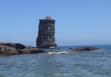 Excursión Senderismo Rogliano - Vers la Tour Santa Maria - Photo