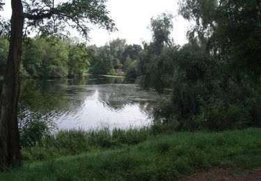 Excursión Senderismo Condé-sur-l'Escaut - Circuit de la Canarderie et son site minier -  Condé sur l'Escaut - Photo