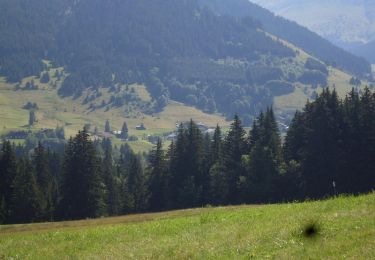 Excursión Bici de montaña Megève - Megeve La Rochebrune - Photo