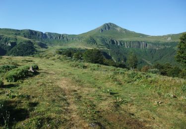 Tocht Stappen Le Claux - Les fours de Peyre-Arse - Photo