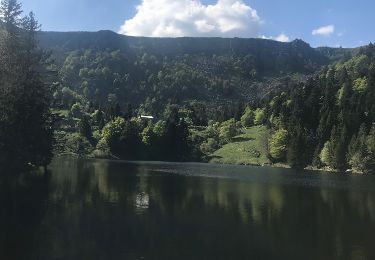 Tour Wandern Sulzern - lac d'un forlet lac vert - Photo
