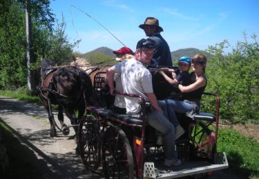 Tour Pferd Fabas - Attelage en petites Pyrénées - Fabas 2 - Photo