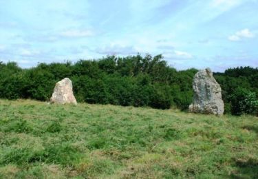 Randonnée Marche Crozon - Crozon - Treboul - Photo