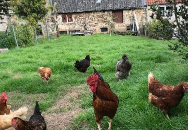 Randonnée Marche Aywaille - Deigné - Photo