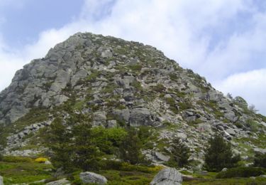 Tocht Stappen Saint-Martial - Mont Gerbier de Jonc - Photo