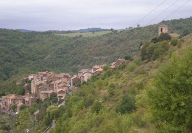 Tour Wandern Combret - Combret  Sud Aveyron - Photo