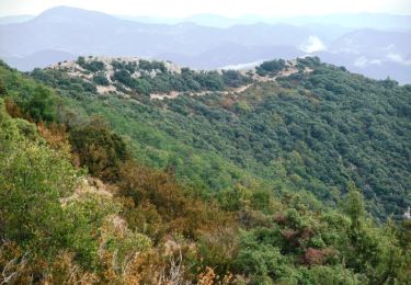 Tour Wandern Crestet - Crête de Saint Amand - Photo