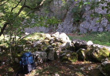 Excursión Senderismo Chaux-des-Crotenay - pont de la chaux- Foncine RÉEL - Photo