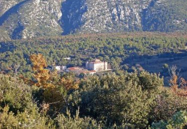 Trail Walking Roquefort-la-Bédoule - Le Montounier - Le Grand Caunet - Photo