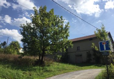 Trail Walking Chapelle-des-Bois - Chapelle-des-Bois - Morez RÉEL - Photo