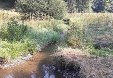 Randonnée V.T.T. Habay - Entre Gaume et Ardenne - Photo