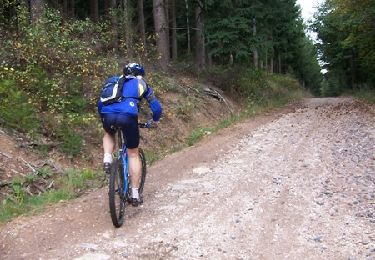 Trail Mountain bike Autun - Planoise Auxy - Autun - Photo
